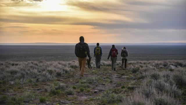 sage-grouse surveys in southwestern Idaho
