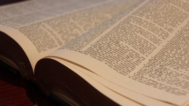 image of open book
