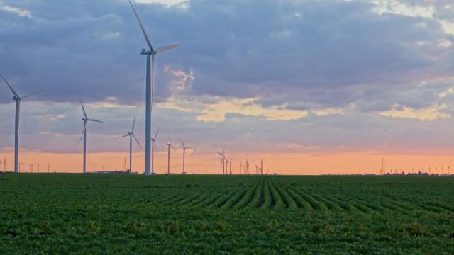 windmills over corn fields