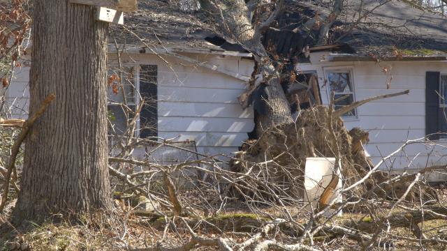 House damaged by a fallen tree
