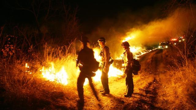 Firefighters fighting a wildfire