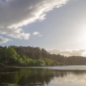Preserving Floodplains A bright sun shines onto a river and deep green forested area.