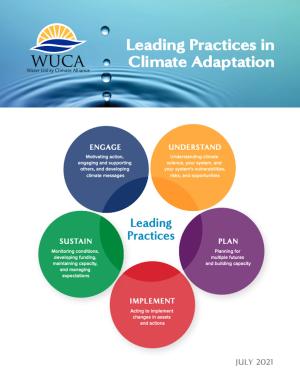 Screenshot of the Leading Practices in Climate Adaptation report. 