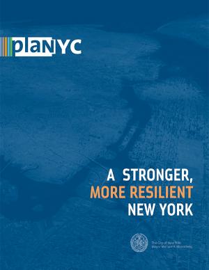 Cover of the Stronger, More Resilient New York report