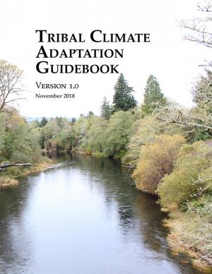 Report cover showing a river and adjacent forest