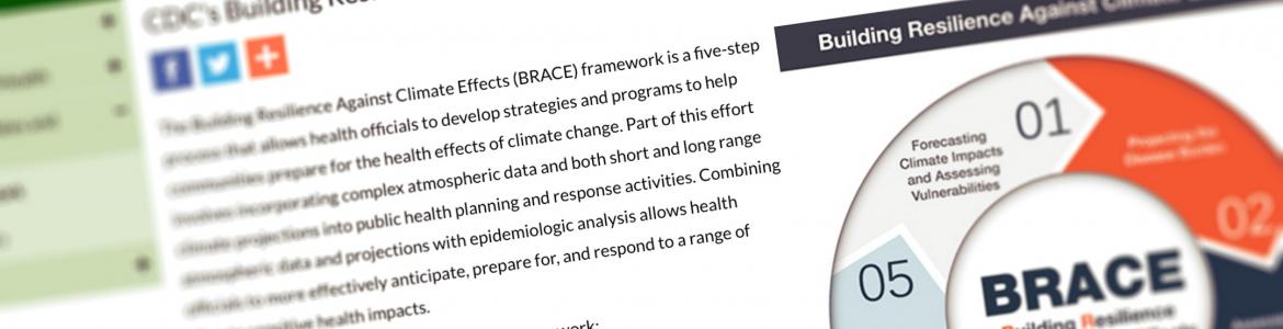 Screen capture from the BRACE website