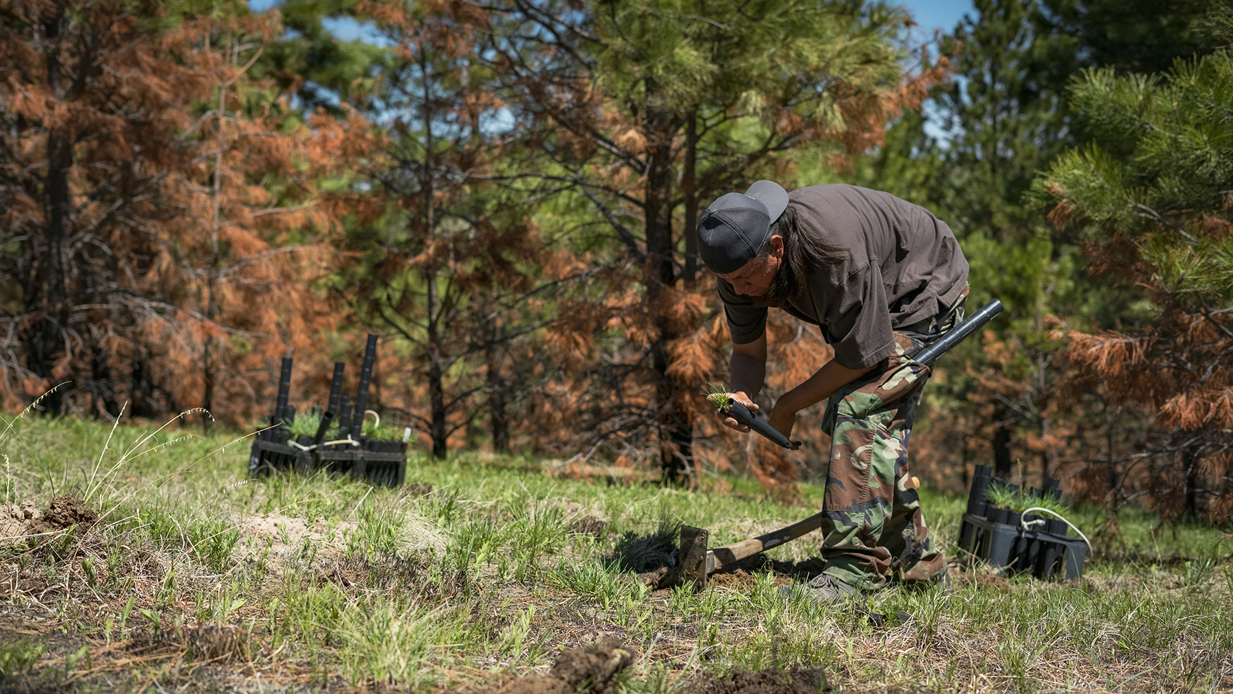 Tree Planting on the Pine Ridge Indian Reservation  U.S. Climate 