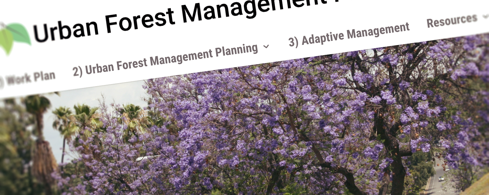Urban Forest Management Plan Toolkit