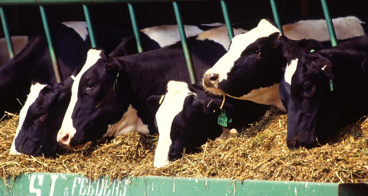 Precise Soil, Climate, and Weather Data Help Dairy Optimize Water Use