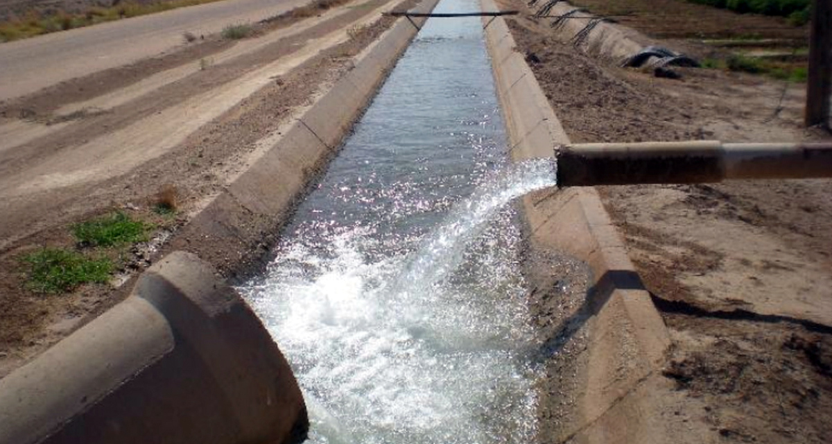 Managing Water for Irrigated Agriculture in the Central Arizona Desert